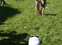 DSC 0041