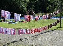 DSC 0080