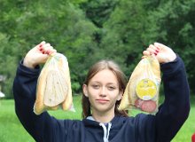IMG 7582