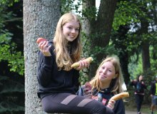 IMG 7584