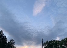 IMG-2762