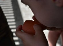 IMG 0675