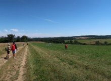 IMG 0774