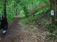 DSC 0790