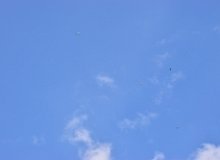 IMG 0854