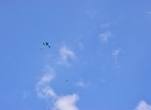 IMG 0857