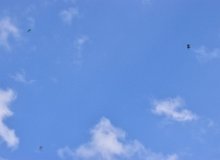 IMG 0858
